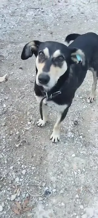 Обложка видео