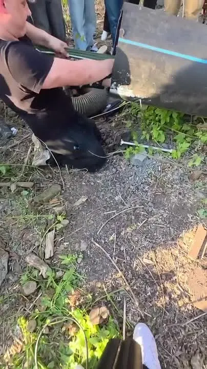 Обложка видео