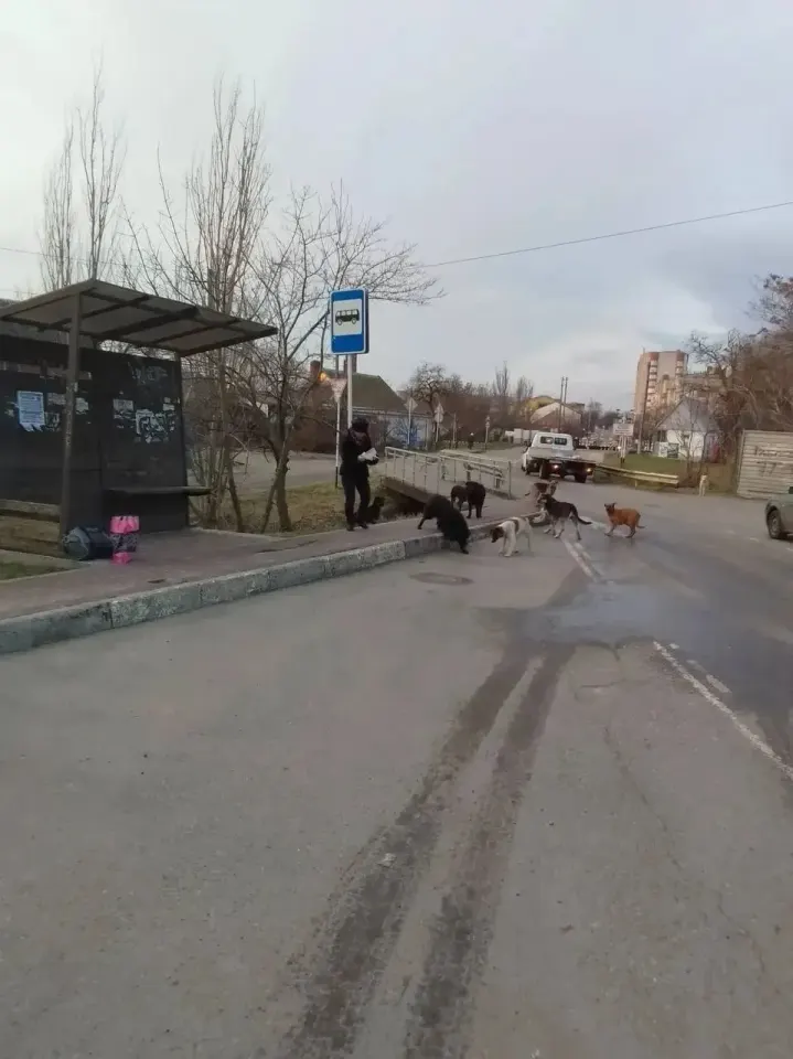 Фото из поста