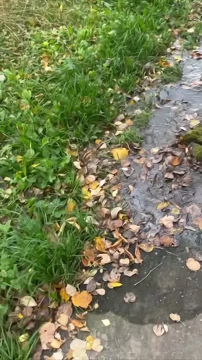 Обложка видео