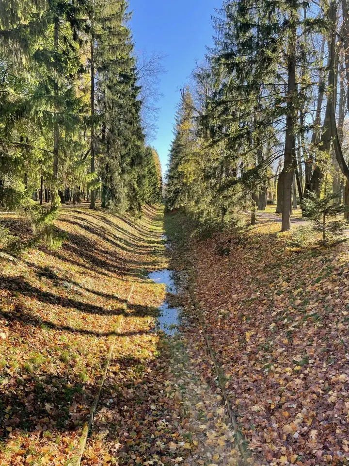 Фото из поста