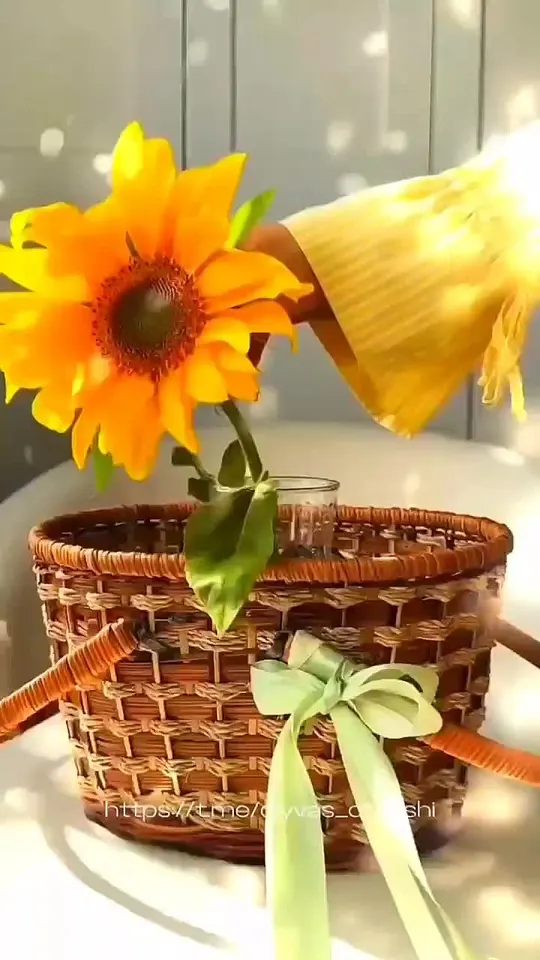 Обложка видео
