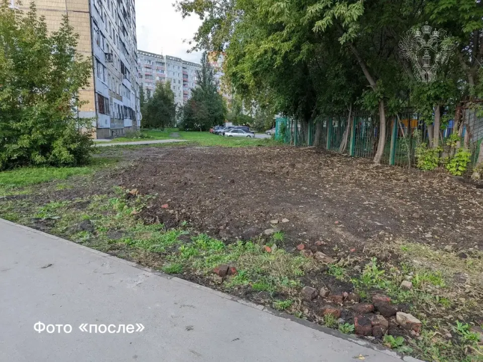 Фото из поста