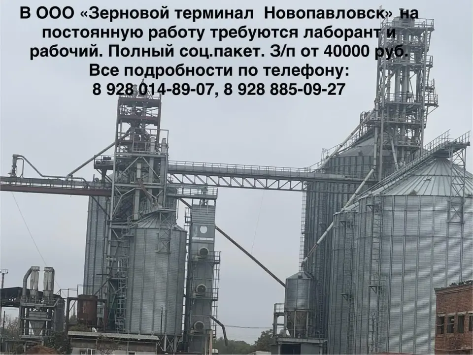 Фото из поста