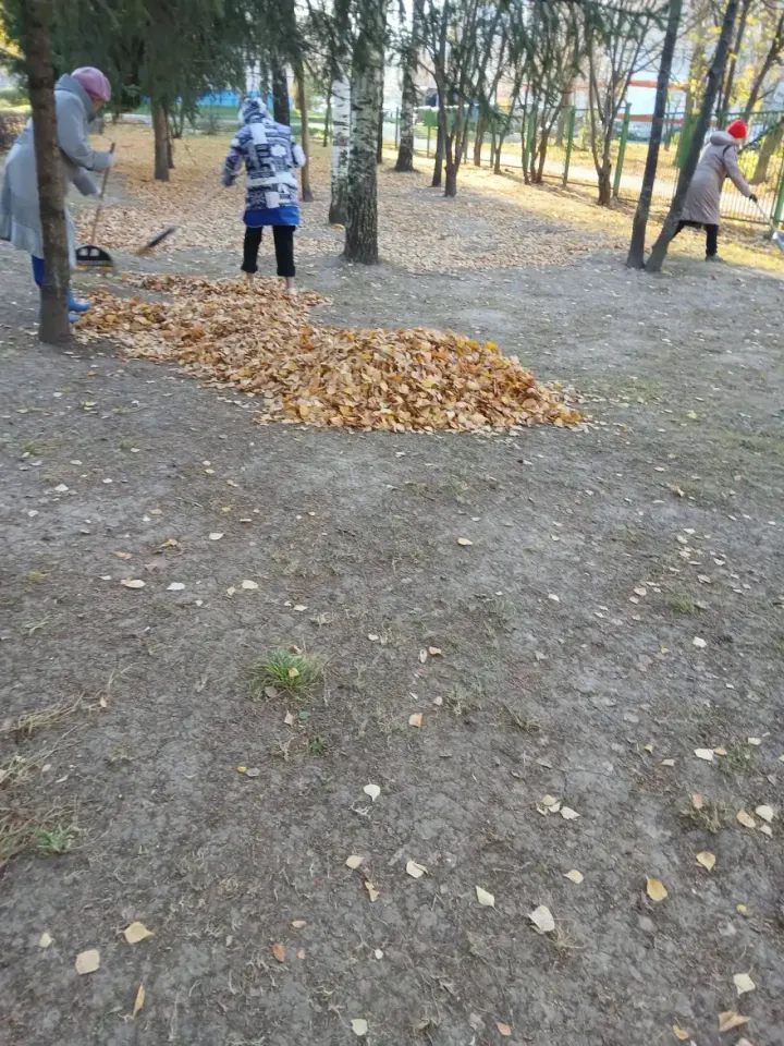 Фото из поста