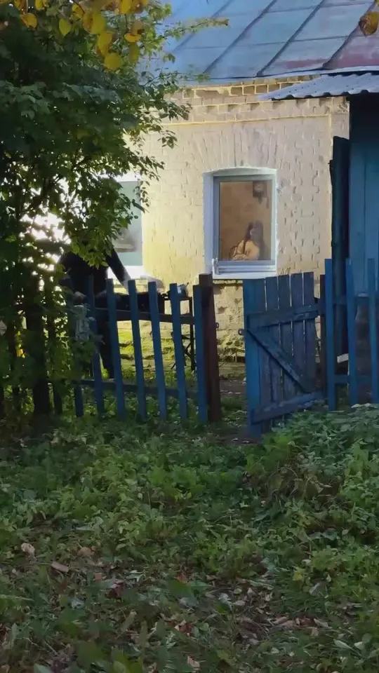 Обложка видео