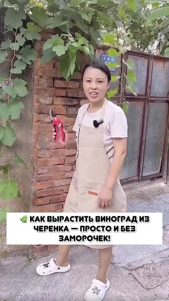 Обложка видео