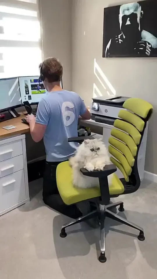 Обложка видео
