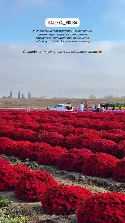 Обложка видео