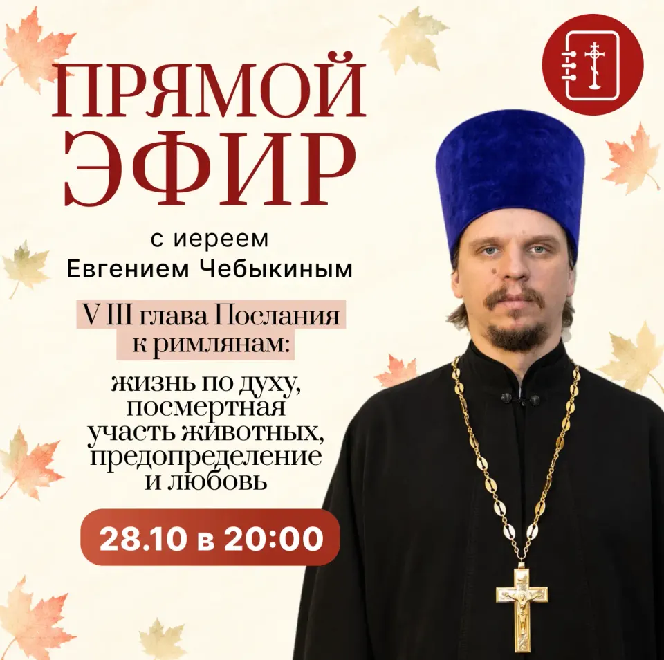 Фото из поста