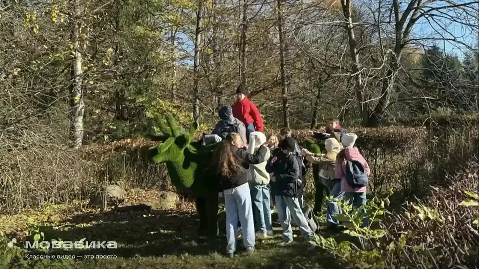Обложка видео