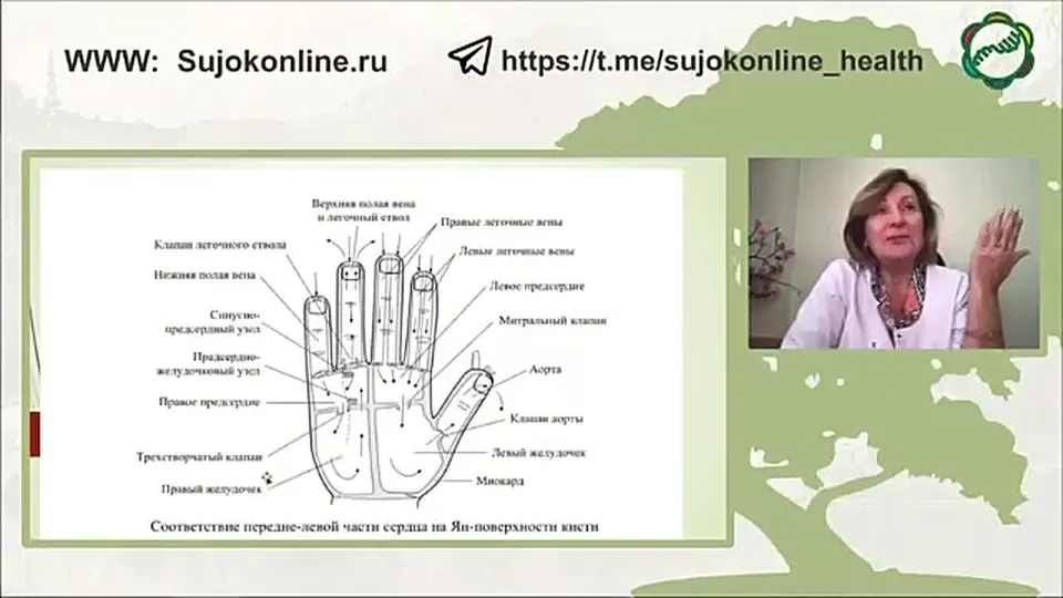 Обложка видео