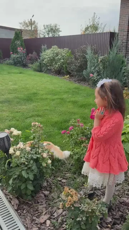 Обложка видео