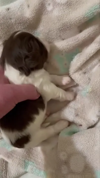 Обложка видео