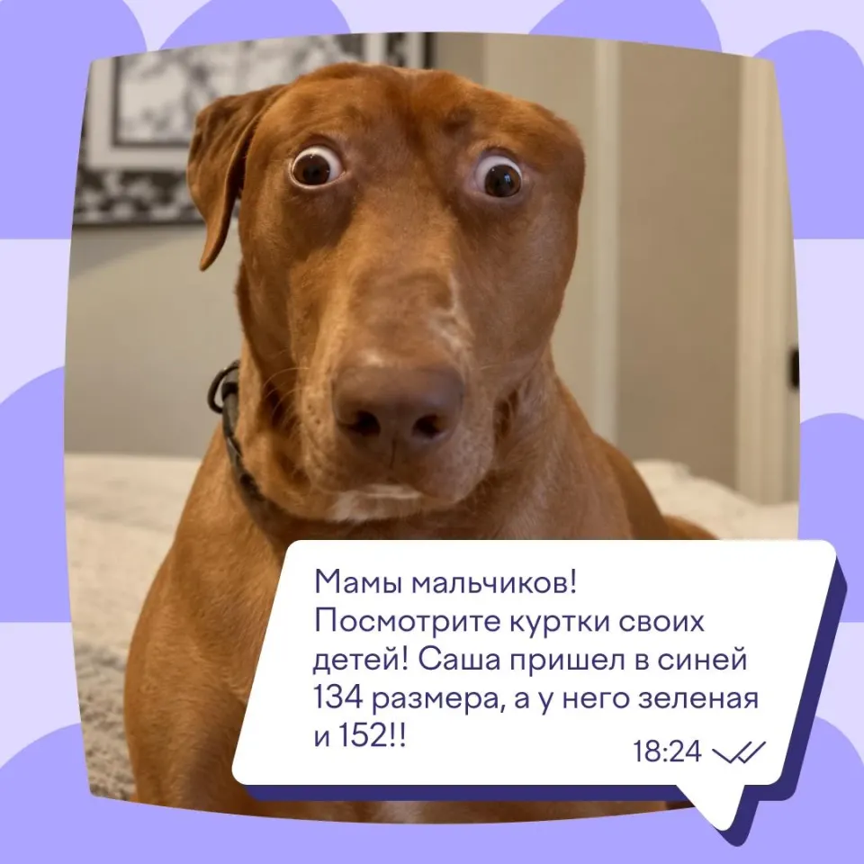 Фото из поста