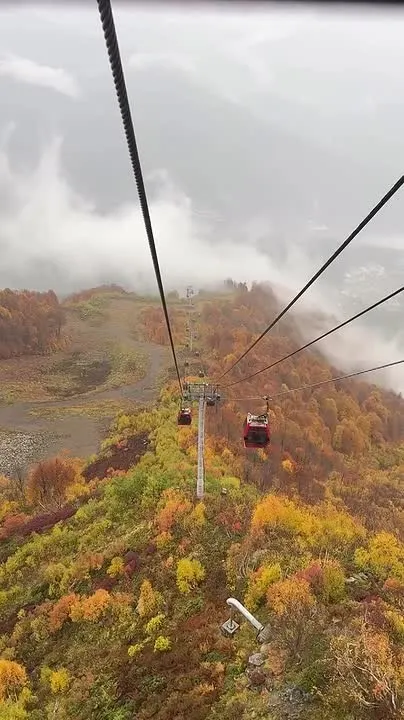 Обложка видео