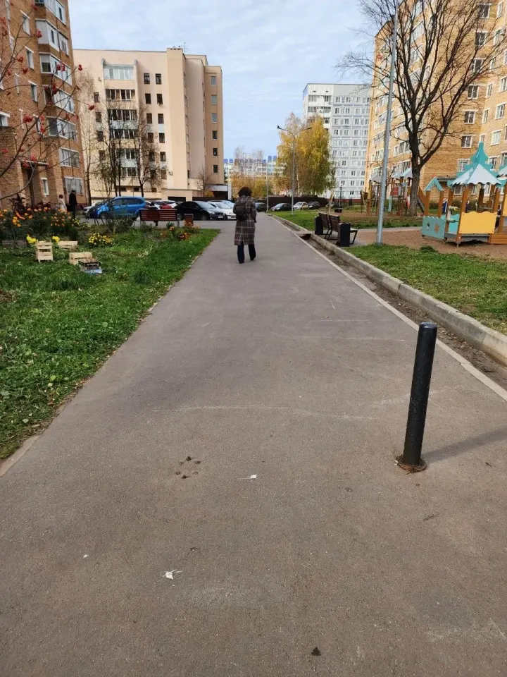 Фото из поста