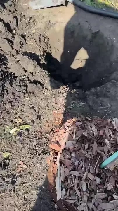 Обложка видео