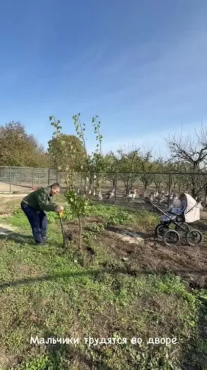 Обложка видео