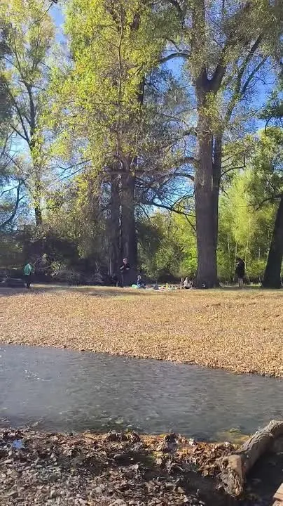 Обложка видео