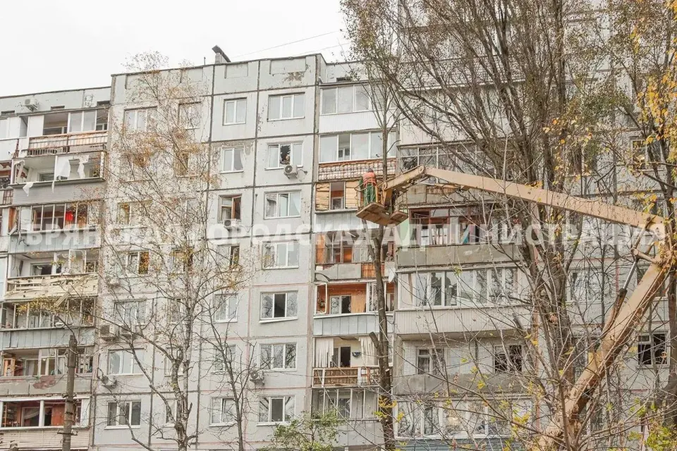 Фото из поста
