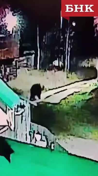 Обложка видео