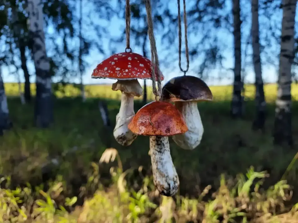 Фото из поста