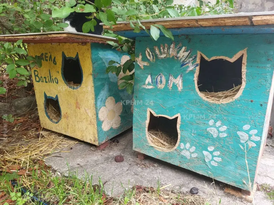 Фото из поста