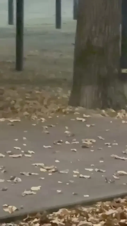 Обложка видео