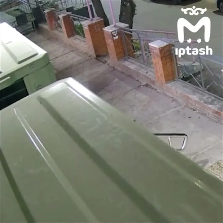 Обложка видео