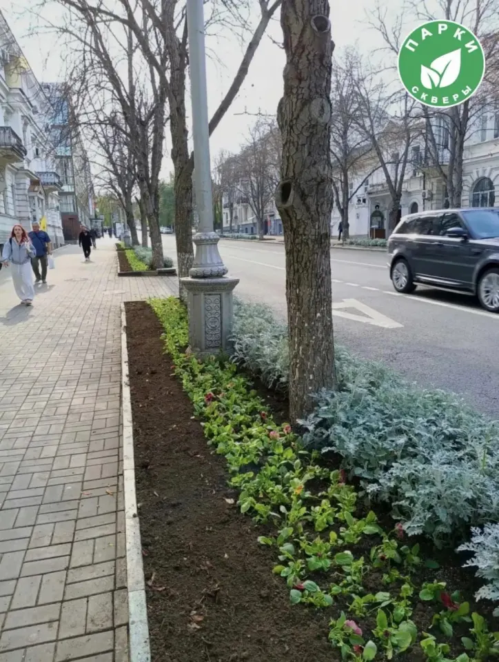 Фото из поста