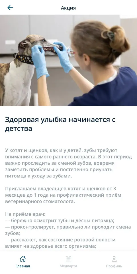 Фото из поста