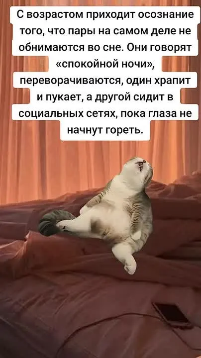 Обложка видео