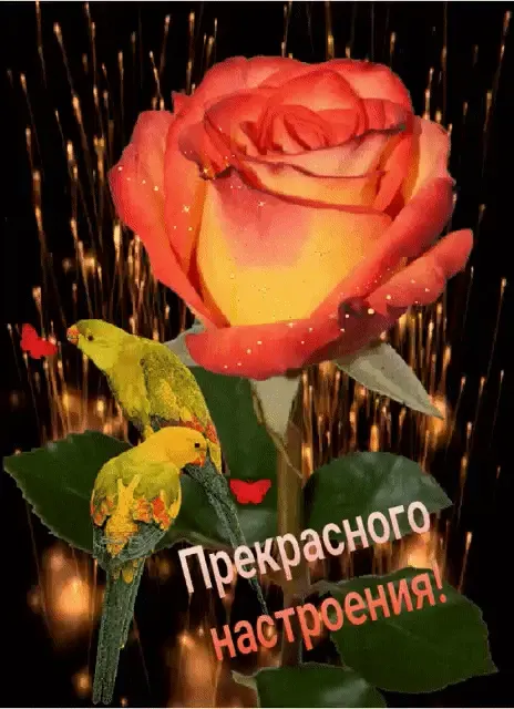 Фото из поста
