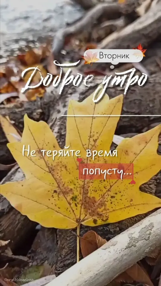 Фото из поста