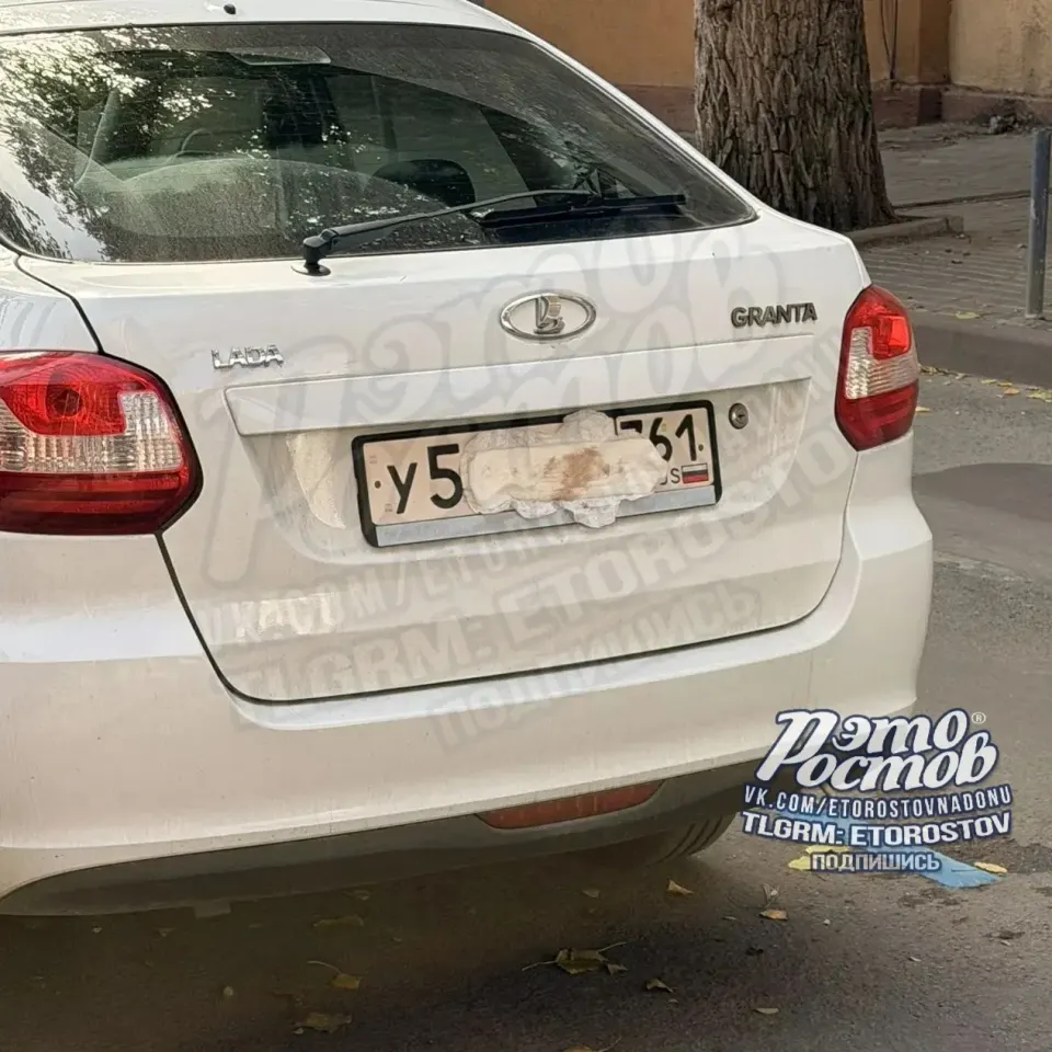 Фото из поста