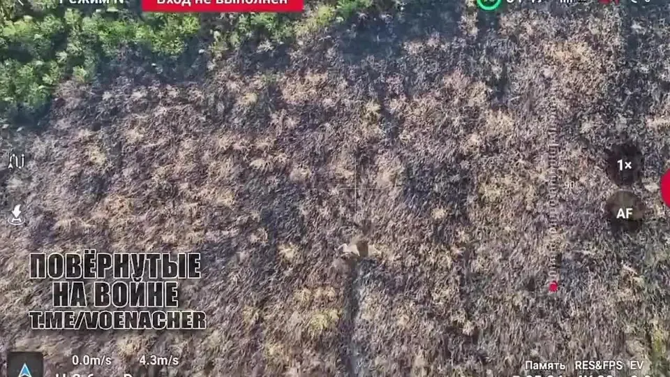 Обложка видео