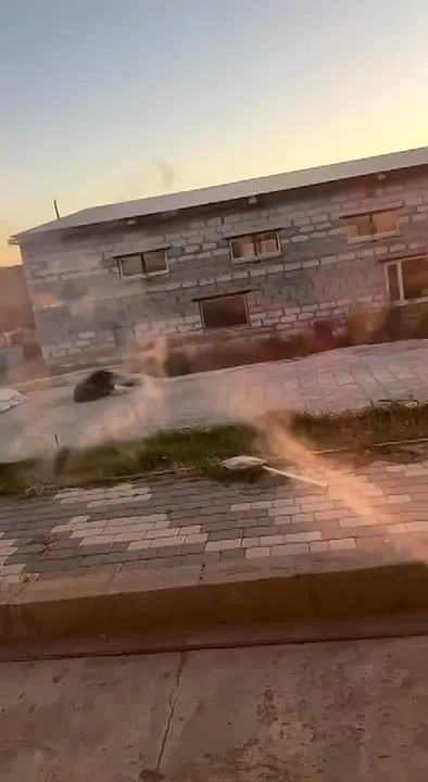 Обложка видео