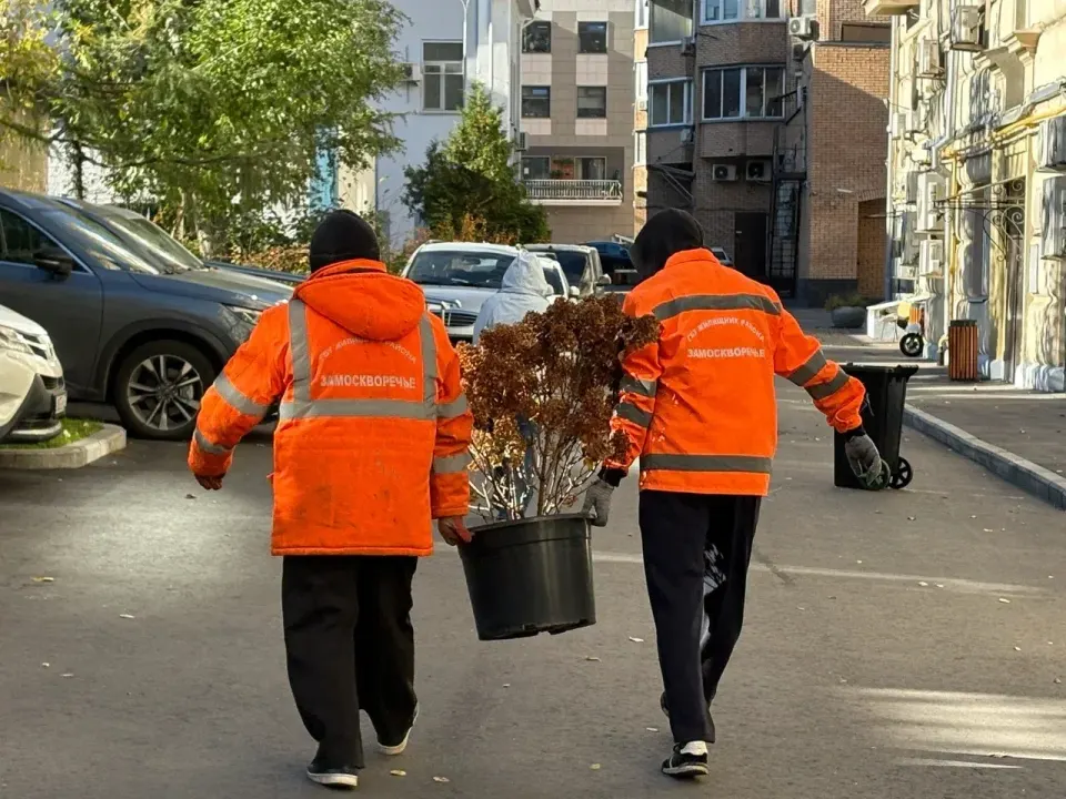 Фото из поста