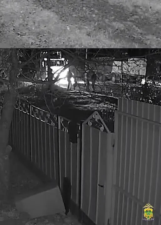 Обложка видео