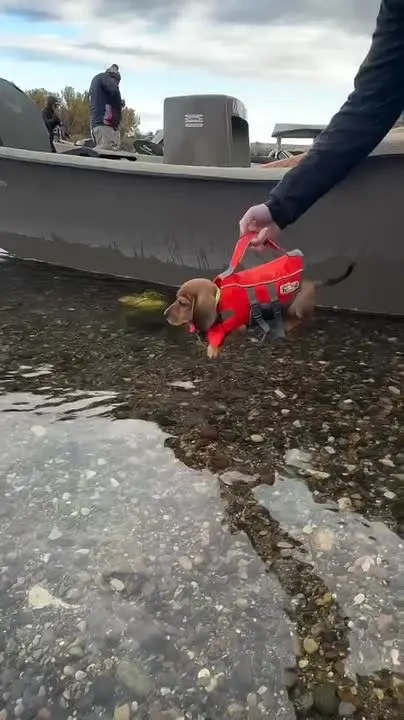 Обложка видео