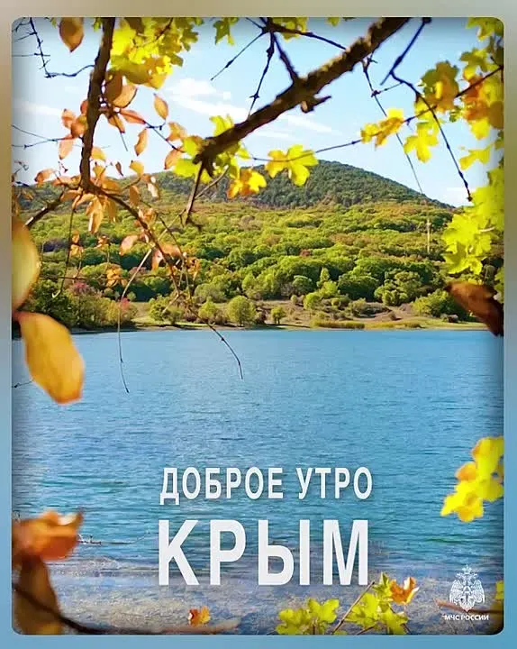 Обложка видео