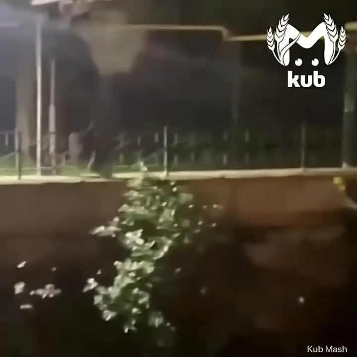 Обложка видео