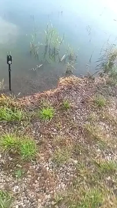 Обложка видео