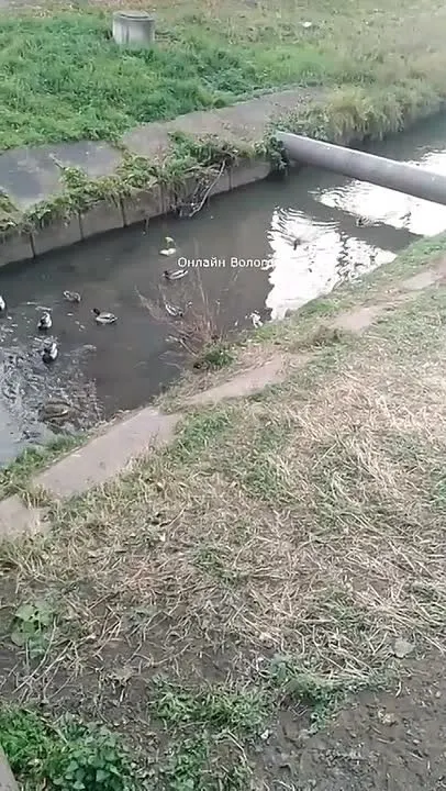Обложка видео