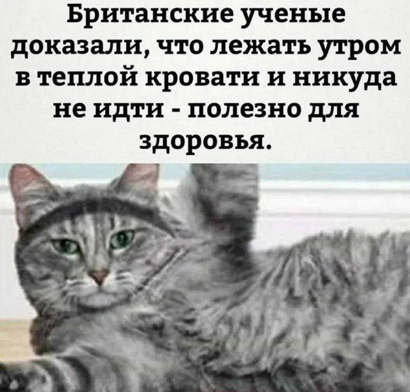 Фото из поста