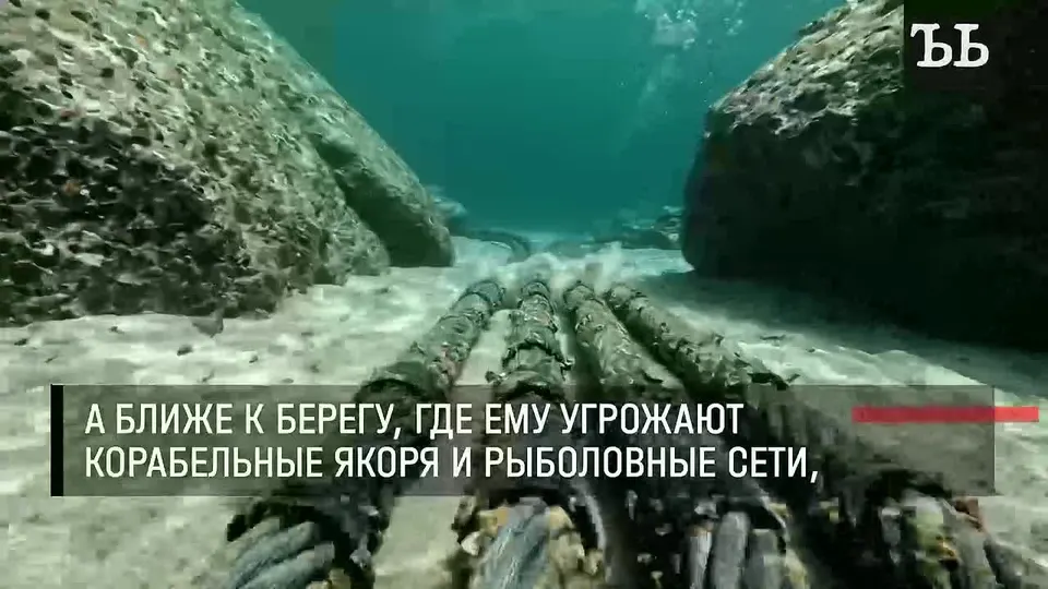 Обложка видео