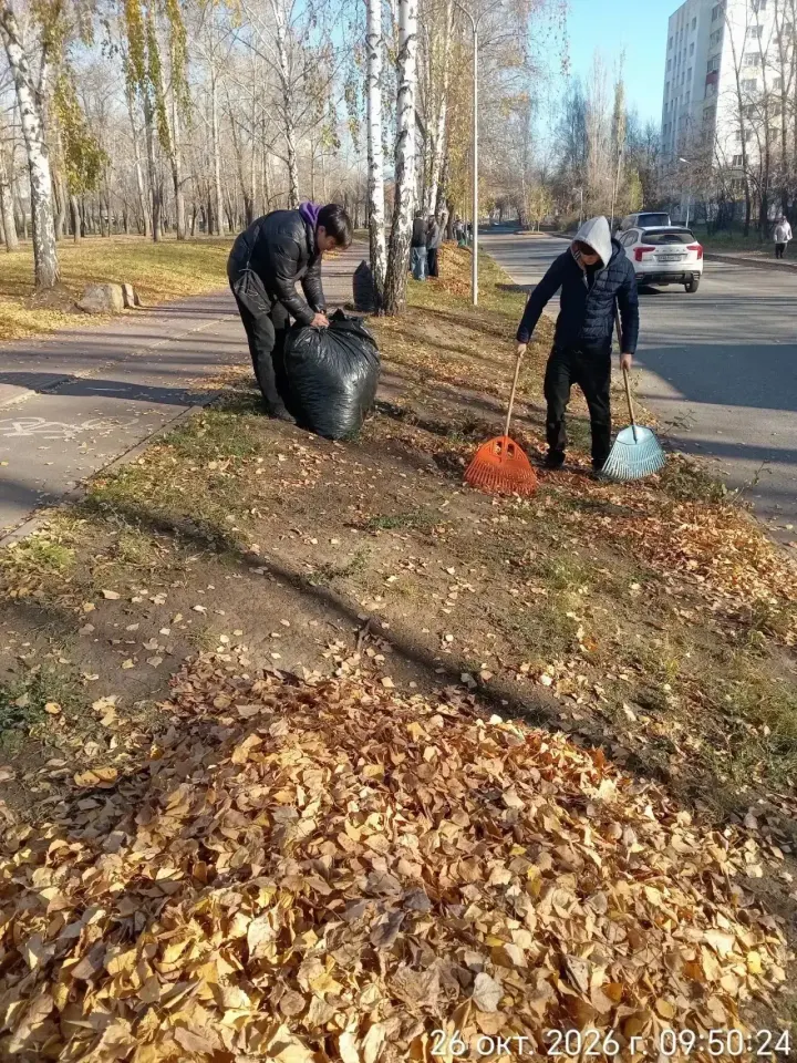 Фото из поста