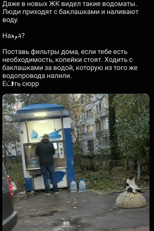 Фото из поста