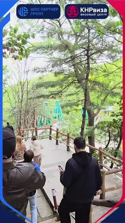 Обложка видео